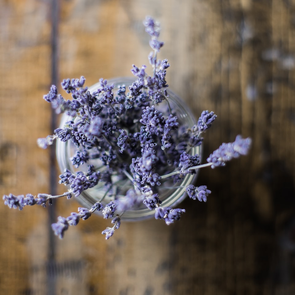 Lavender - obrazek 1