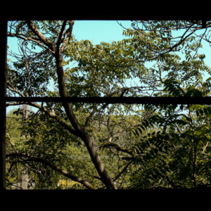 Potato Download HDMI