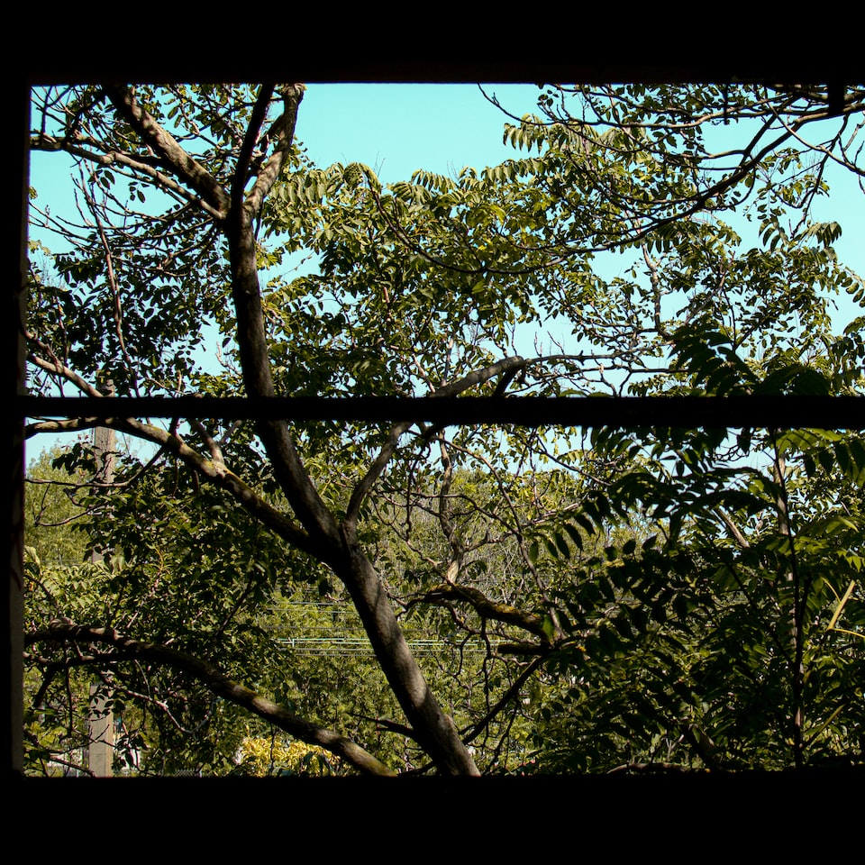 Potato Download HDMI - obrazek 1