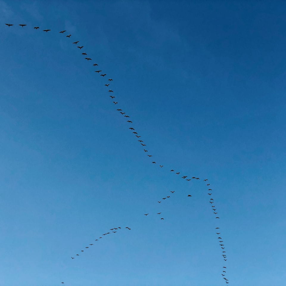 Cold Blue Shower - obrazek 1