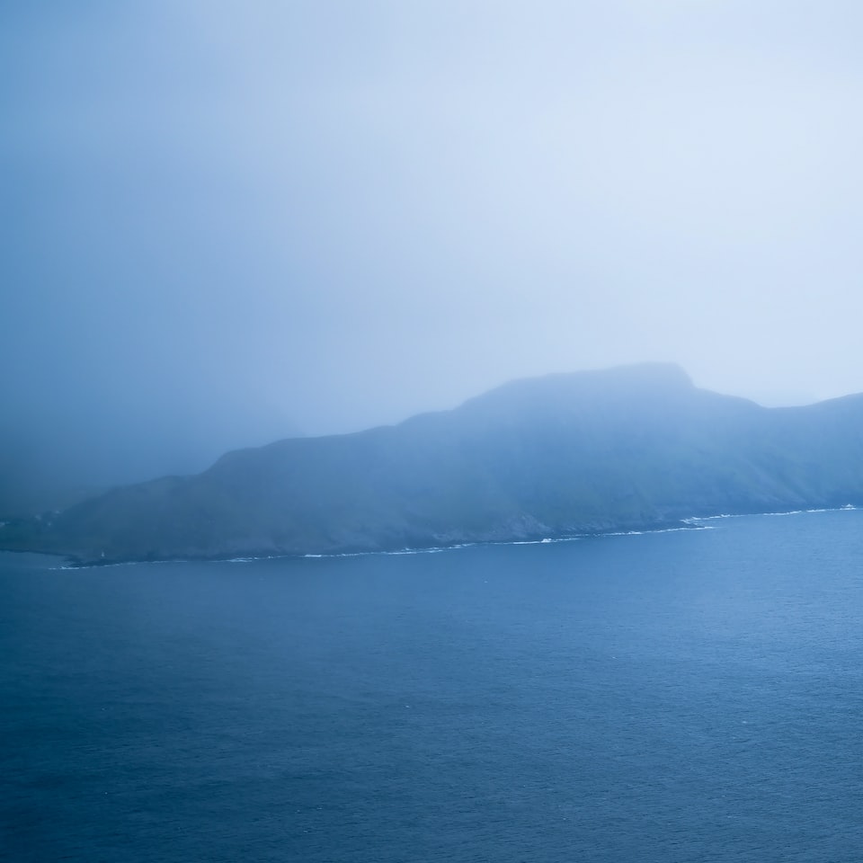 Cola Blue Motorola Violet - obrazek 1