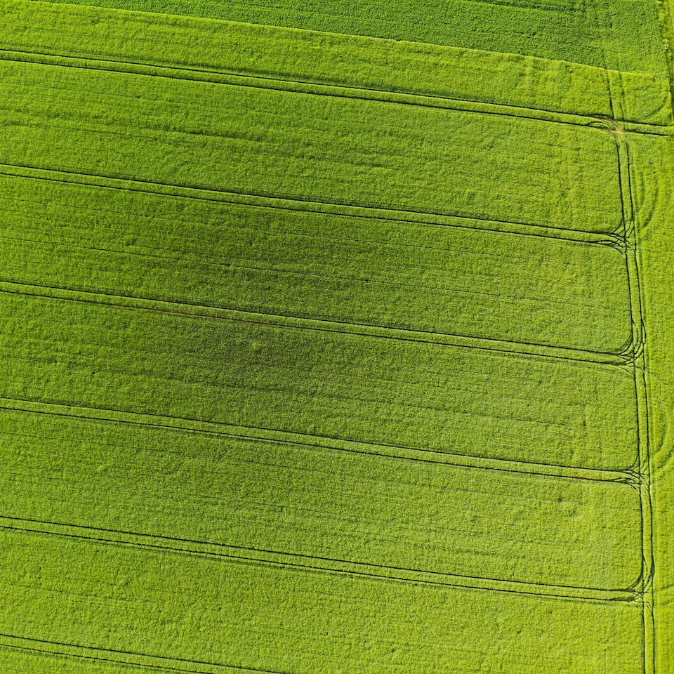 Water Green - obrazek 1