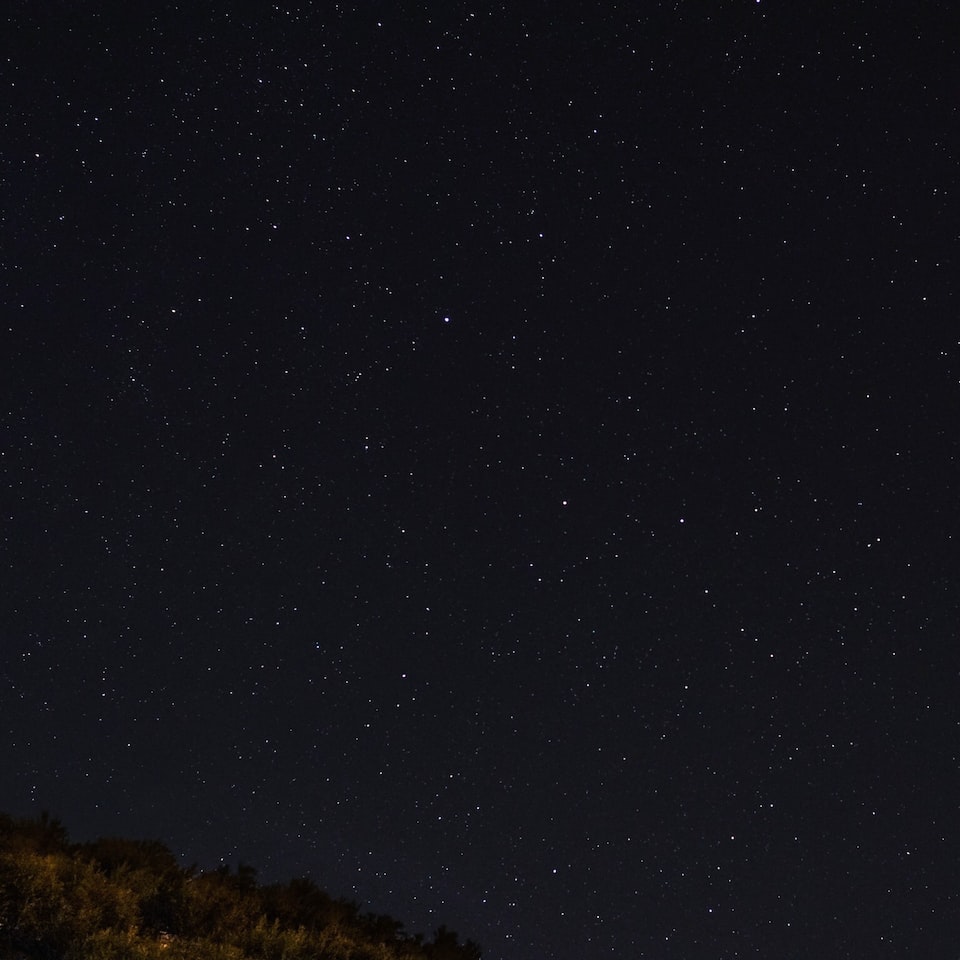 Egg Black Violet - obrazek 1