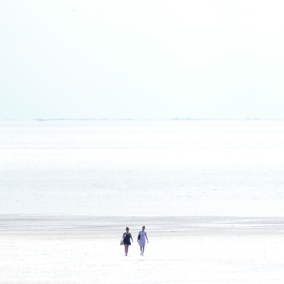 Wet White - obrazek 1