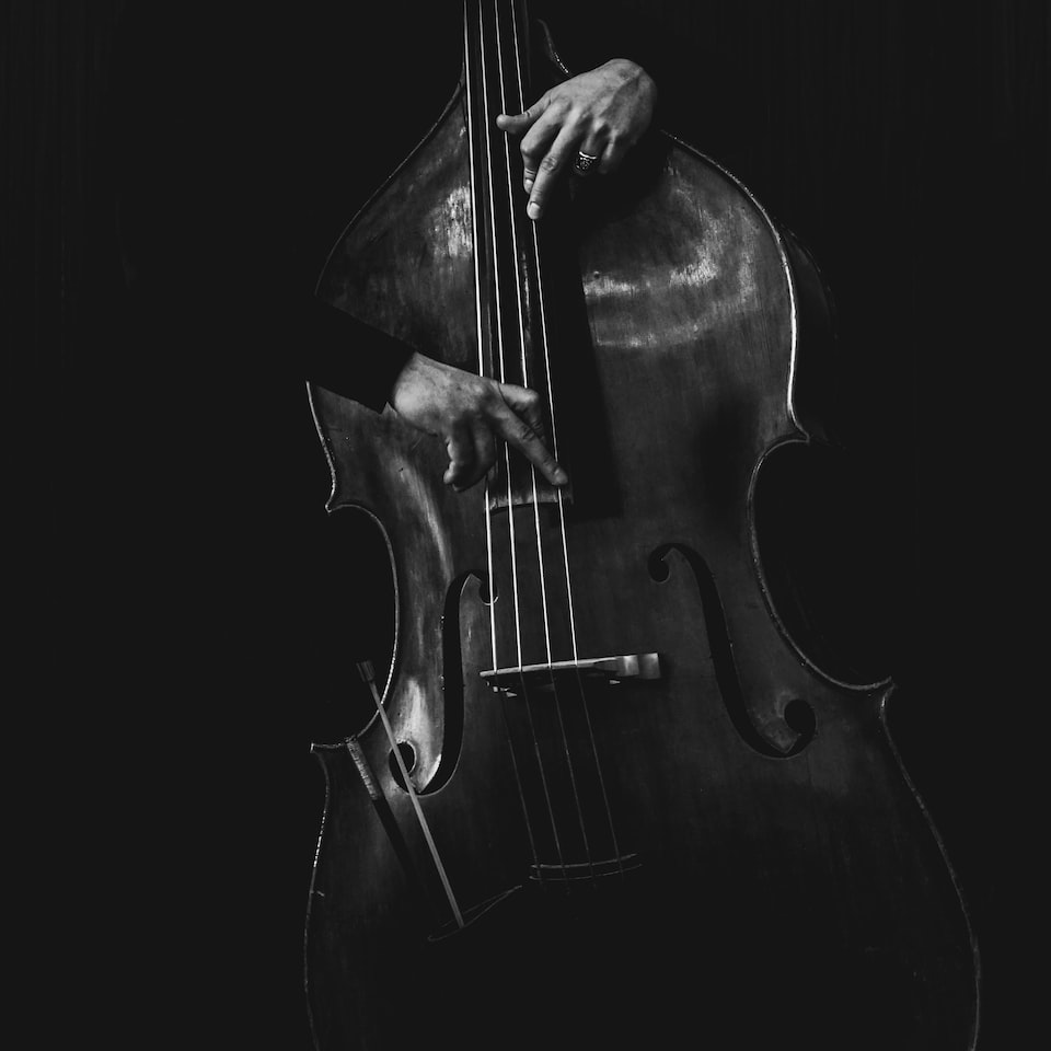 Jazz Shampoo Lamb - obrazek 1