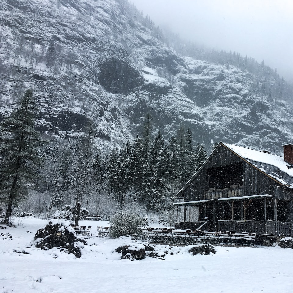 Gel Smoothie Cold - obrazek 1