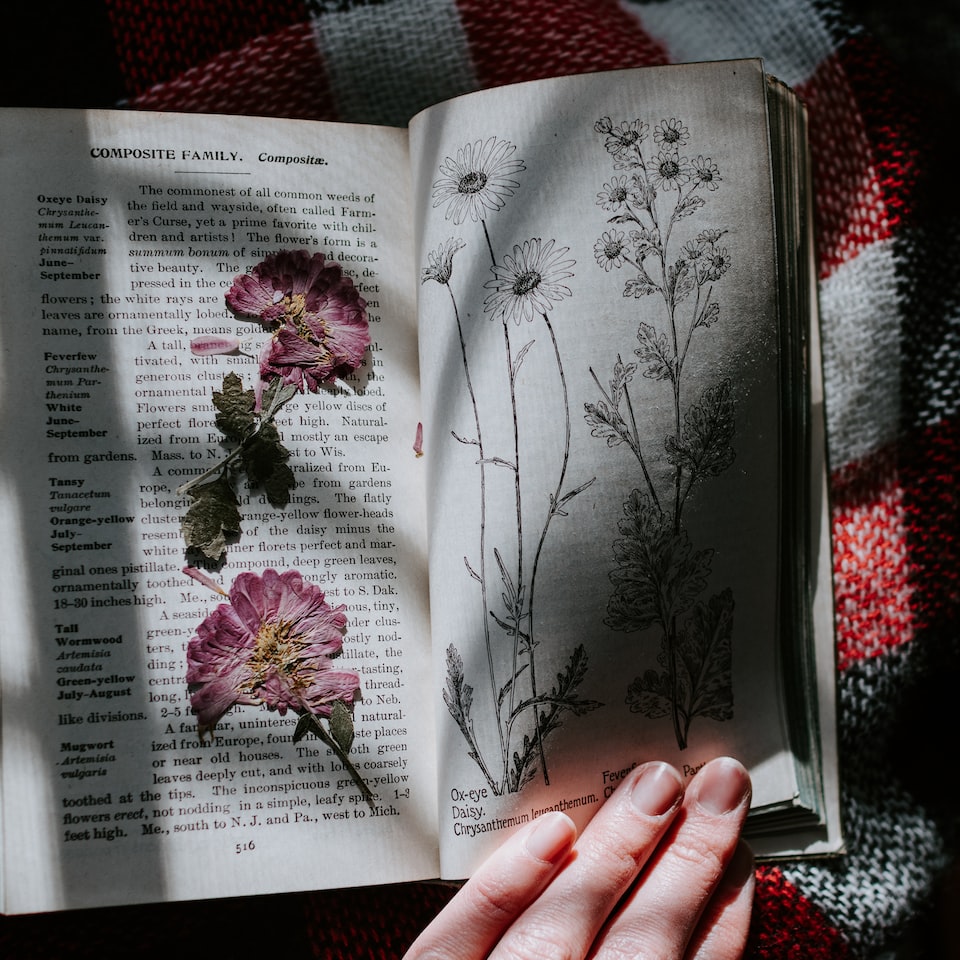 Oven Gun Book - obrazek 1