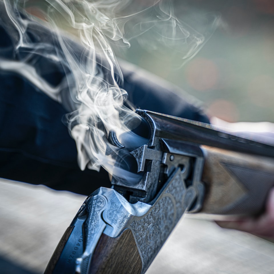 Gun Princess - obrazek 1