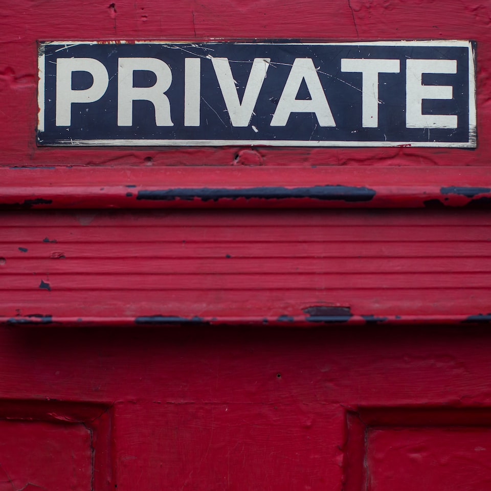 Red Wood Violet - obrazek 1