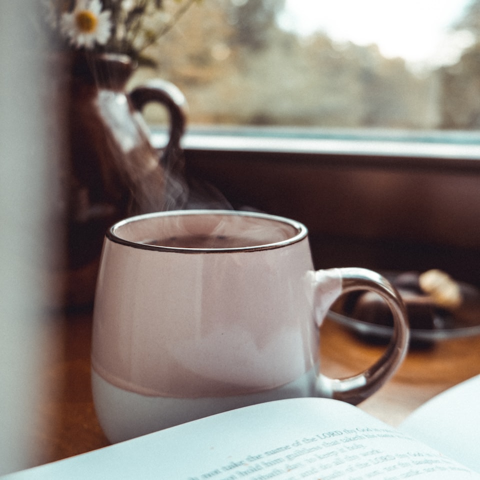 Book Motorola Strawberry - obrazek 1