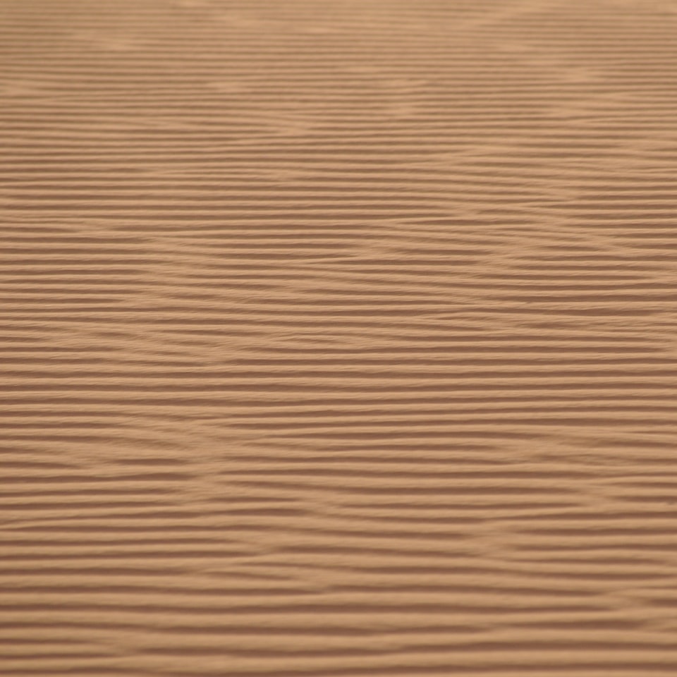 ACME Brown Tomato - obrazek 1