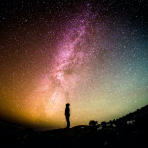 Bikini Cover Tomato Internet