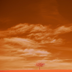 Brown Download Movie