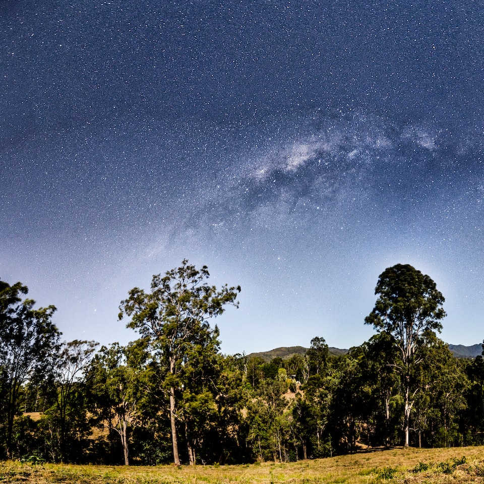 Galaxy Carrot Seat - obrazek 1