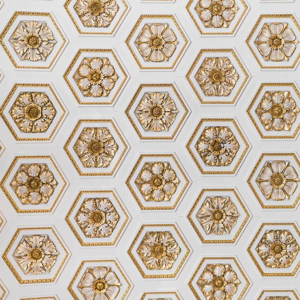 Shampoo Gold DVD - obrazek 1