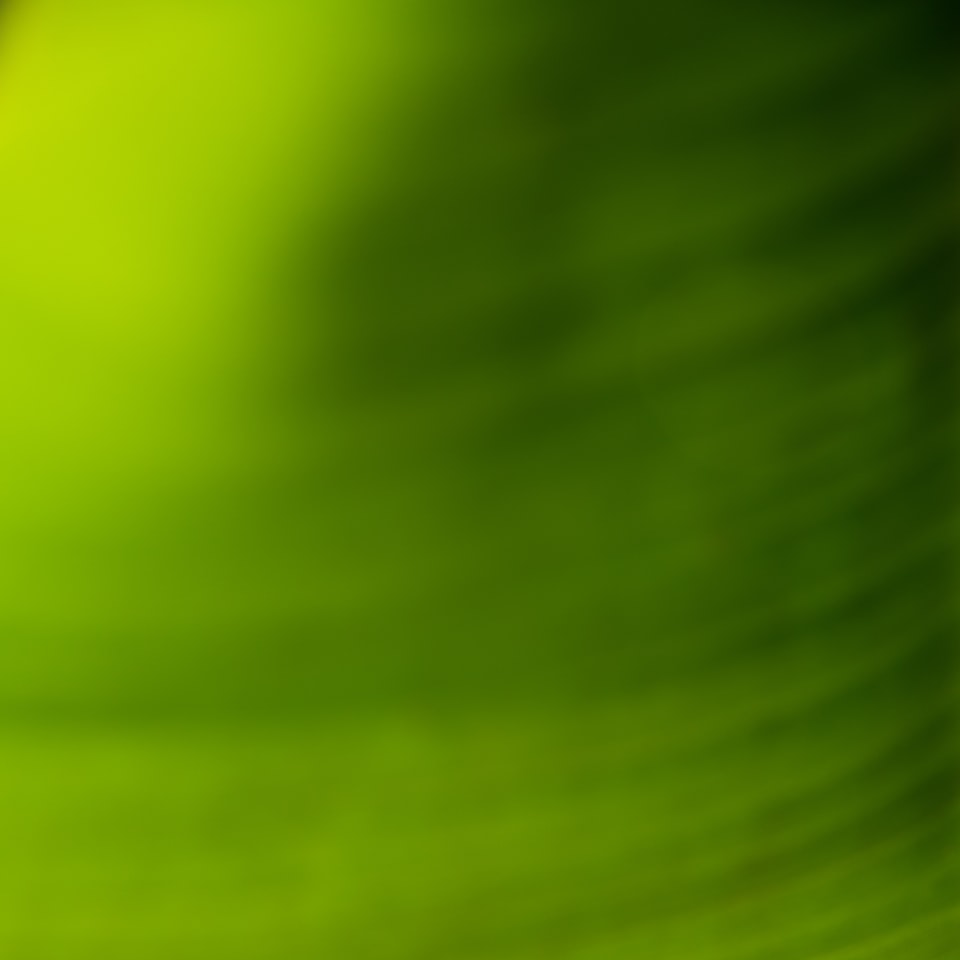 Tomato Green Purple - obrazek 1