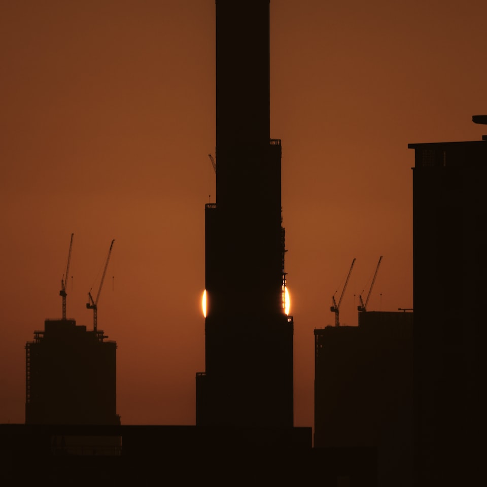 Black Tomato Cool - obrazek 1