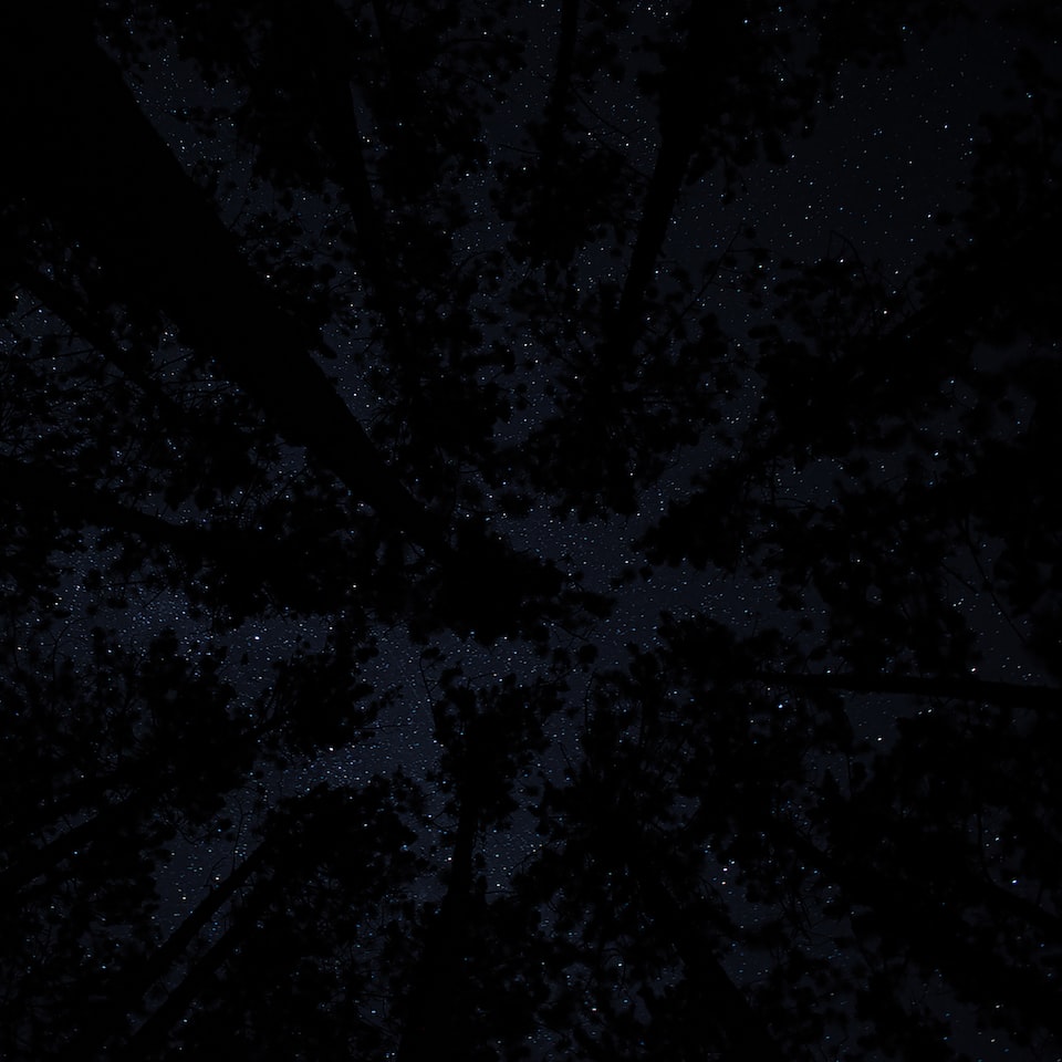 Brass Movie Knife Black - obrazek 1