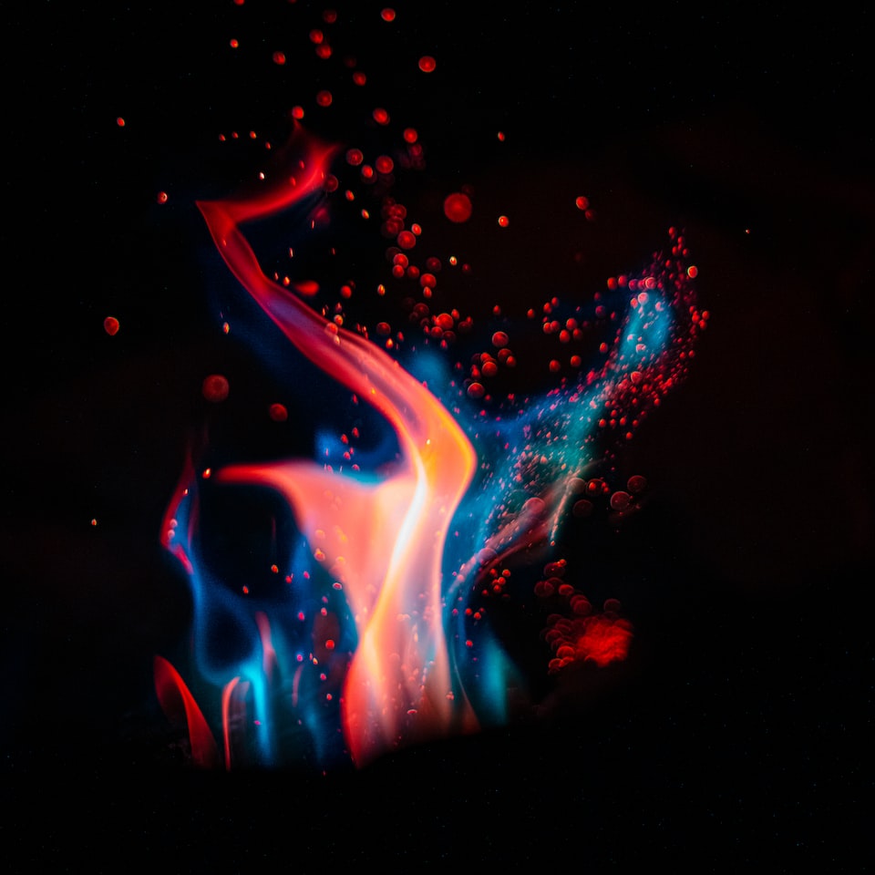 Princess Lamb Fire - obrazek 1