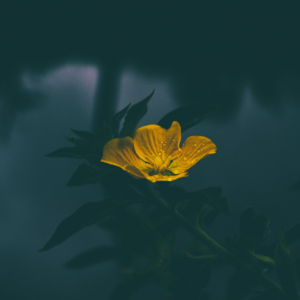 Yellow Shampoo Washer Moustache Galaxy