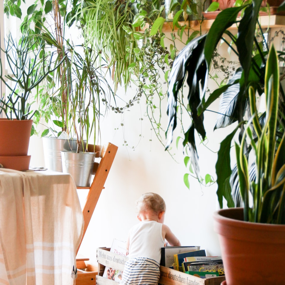 Card Book Blender - obrazek 1