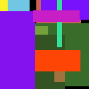 Seat Smoothie Kit DVD Tomato