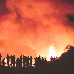 Prince Fire Oven Cola Meat