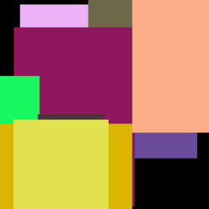 Princess Ring DVD Black