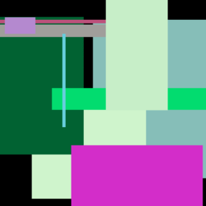 Black Soy CD Natural