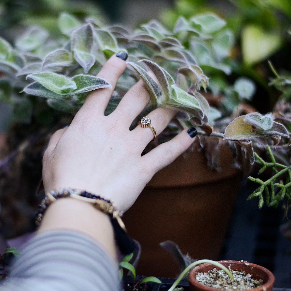 Mixer Ring Cola - obrazek 1