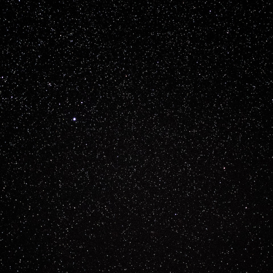 Black Lotion Jazz - obrazek 1