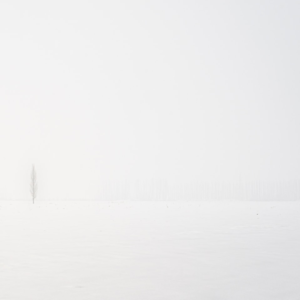 White Cool Cool Shower Soy