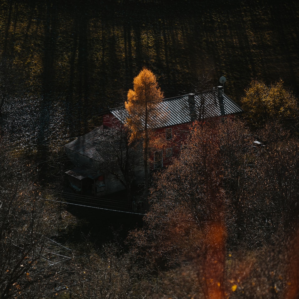 Cold TV Player - obrazek 1