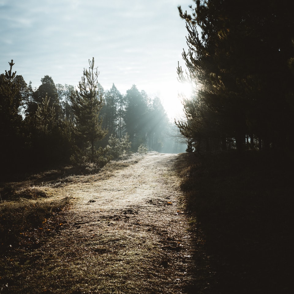 Table Cold Blender - obrazek 1