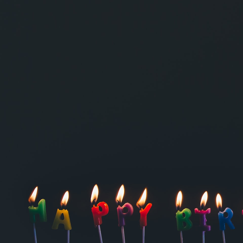 Lamb Brown Green - obrazek 1