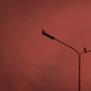 Yellow Large Video Cushion Brown