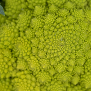 Chicken Green Bikini Potato