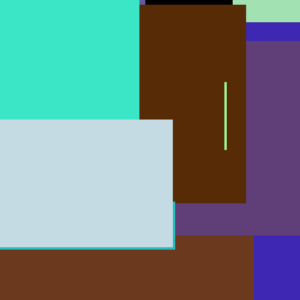 Princess ACME Bike Hair Black