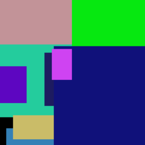 Black Chicken Lotion Kit