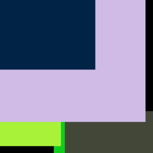 Carrot Bed Strawberry Medium