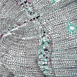 Galaxy Grey Sword Blender