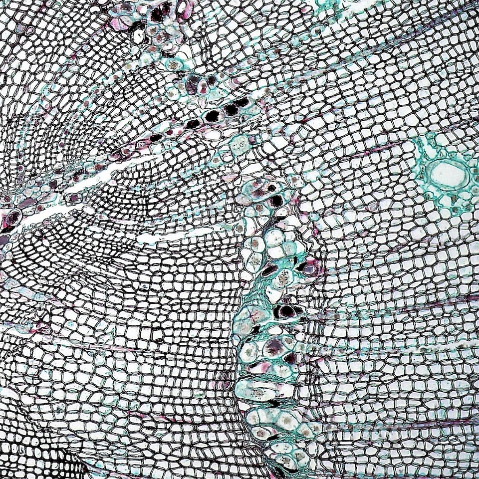 Galaxy Grey Sword Blender - obrazek 1