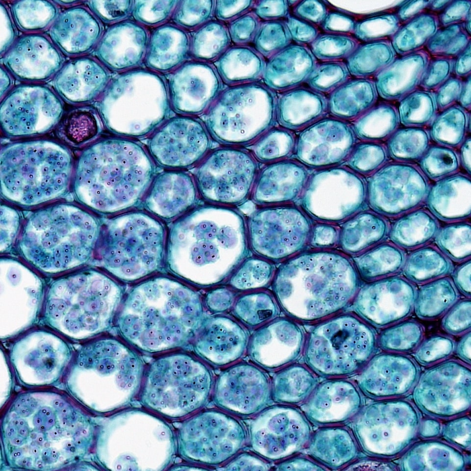 Movie Cool Movie - obrazek 1