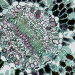 Sheet Refrigerator Blue