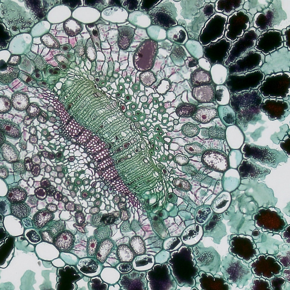 Sheet Refrigerator Blue - obrazek 1