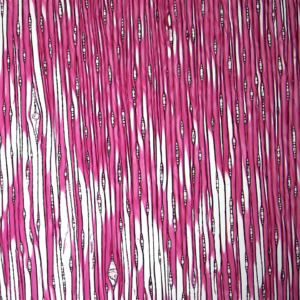 Jazz Blue Film Cushion