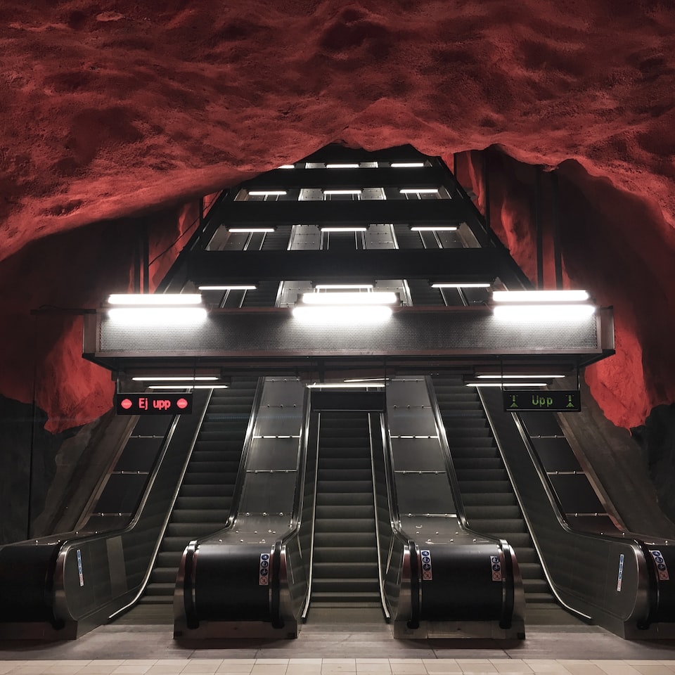 Album Card Mac Rooster - obrazek 1