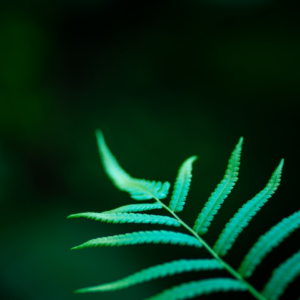 Hair Cover Diamond Gel