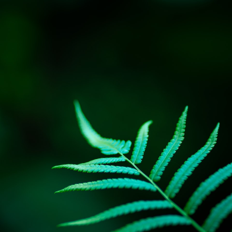 Hair Cover Diamond Gel - obrazek 1