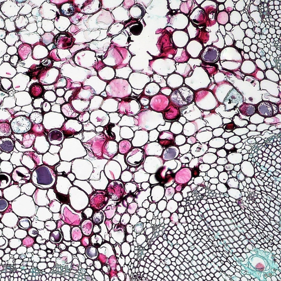 Plastic Download Chair Fire - obrazek 1